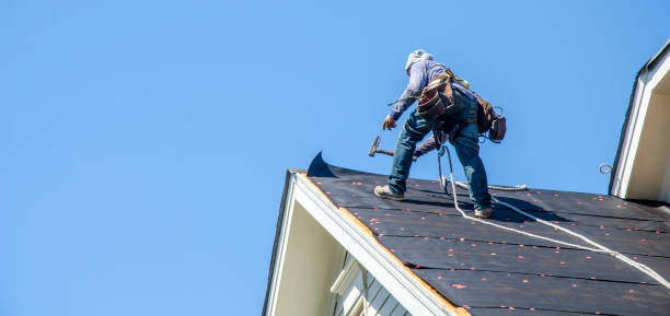 Best Roof Gutter Cleaning  in Absecon Highlands, NJ